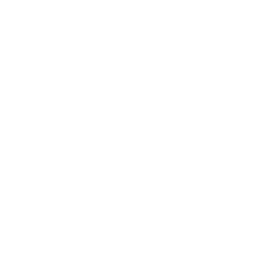 star_shine_500dp_FFFFFF_FILL0_wght400_GRAD0_opsz48